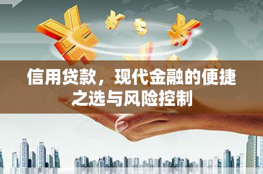 乌什信用贷款，现代金融的便捷之选与风险控制