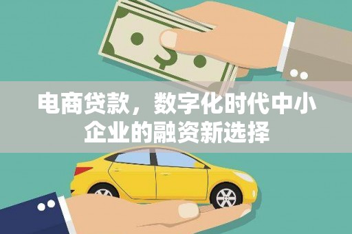 乌什电商贷款，数字化时代中小企业的融资新选择