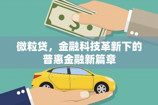 乌什微粒贷，金融科技革新下的普惠金融新篇章