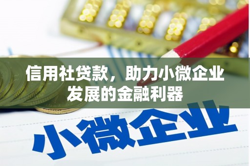 乌什信用社贷款，助力小微企业发展的金融利器