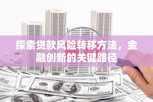 乌什探索贷款风险转移方法，金融创新的关键路径