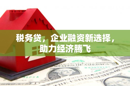 乌什税务贷，企业融资新选择，助力经济腾飞