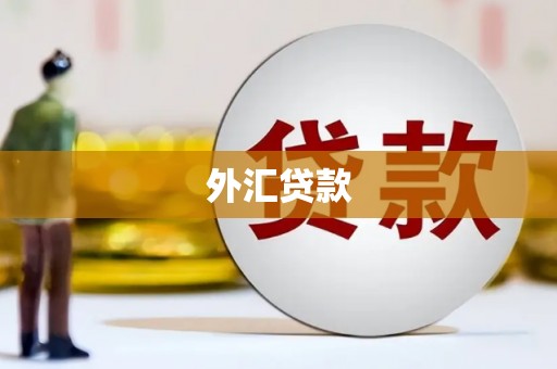 乌什外汇贷款
