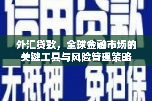 乌什外汇贷款，全球金融市场的关键工具与风险管理策略