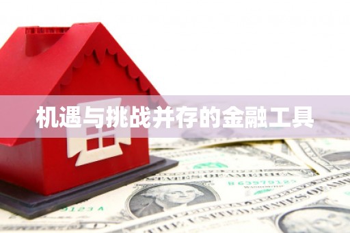 乌什机遇与挑战并存的金融工具
