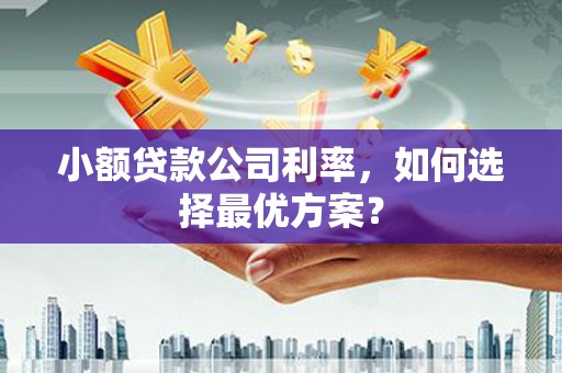 乌什小额贷款公司利率，如何选择最优方案？