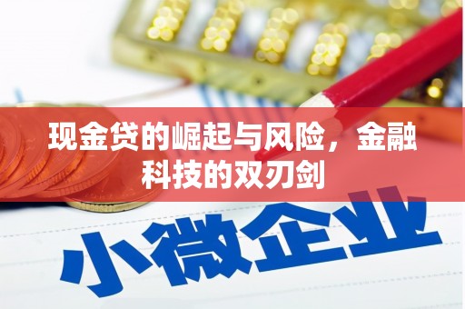 乌什现金贷的崛起与风险，金融科技的双刃剑