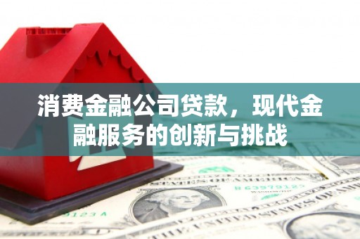 乌什消费金融公司贷款，现代金融服务的创新与挑战