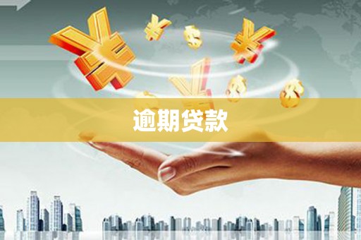 乌什逾期贷款