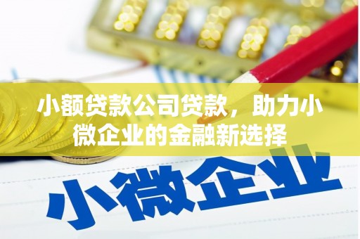 乌什小额贷款公司贷款，助力小微企业的金融新选择