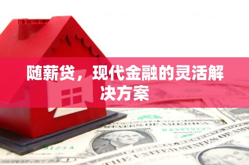 乌什随薪贷，现代金融的灵活解决方案