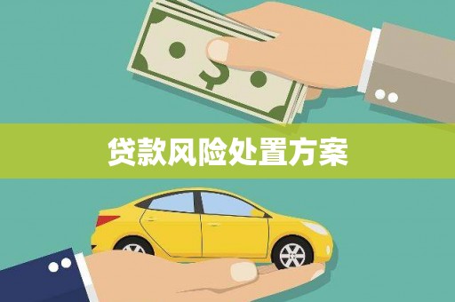 乌什贷款风险处置方案