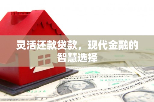 乌什灵活还款贷款，现代金融的智慧选择