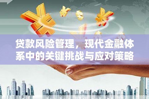 乌什贷款风险管理，现代金融体系中的关键挑战与应对策略