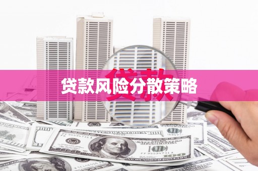 乌什贷款风险分散策略