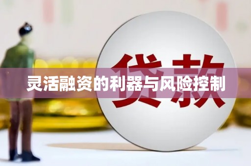 乌什灵活融资的利器与风险控制