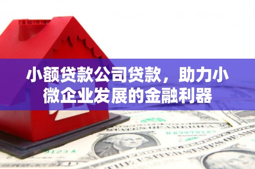 乌什小额贷款公司贷款，助力小微企业发展的金融利器