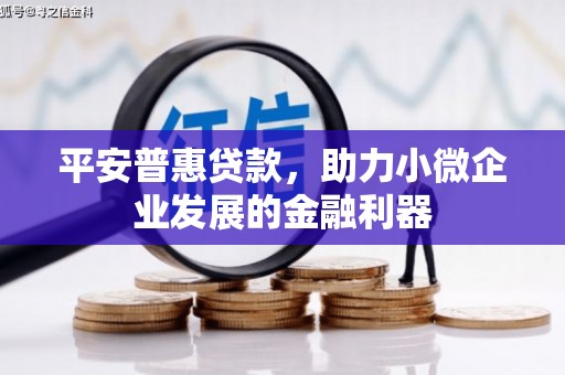 乌什平安普惠贷款，助力小微企业发展的金融利器