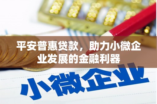 乌什平安普惠贷款，助力小微企业发展的金融利器