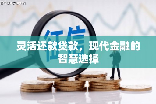 乌什灵活还款贷款，现代金融的智慧选择