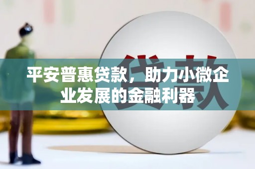 乌什平安普惠贷款，助力小微企业发展的金融利器