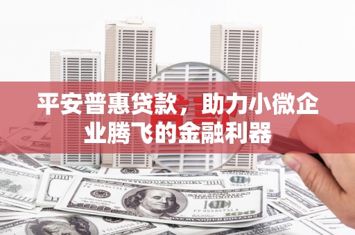 乌什平安普惠贷款，助力小微企业腾飞的金融利器