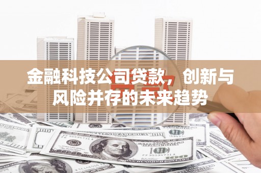 乌什金融科技公司贷款，创新与风险并存的未来趋势