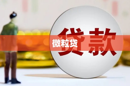 乌什微粒贷