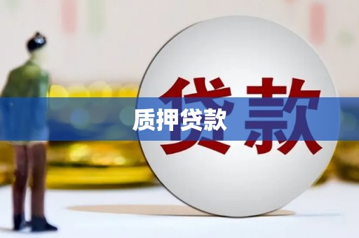 乌什质押贷款