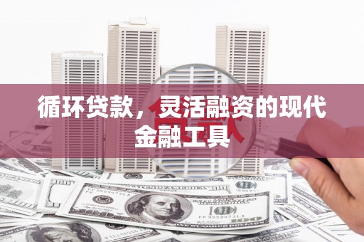 乌什循环贷款，灵活融资的现代金融工具