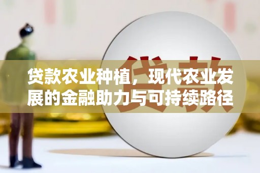 乌什贷款农业种植，现代农业发展的金融助力与可持续路径