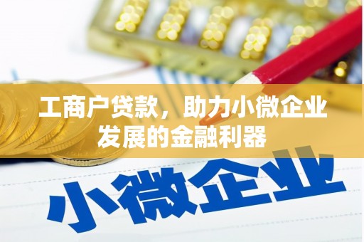 乌什工商户贷款，助力小微企业发展的金融利器