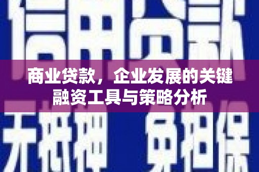 乌什商业贷款，企业发展的关键融资工具与策略分析