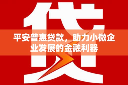 乌什平安普惠贷款，助力小微企业发展的金融利器