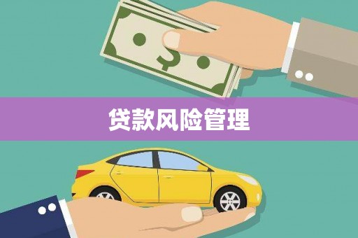 乌什贷款风险管理