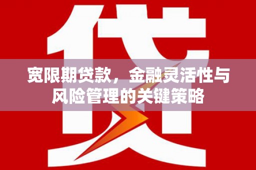 乌什宽限期贷款，金融灵活性与风险管理的关键策略