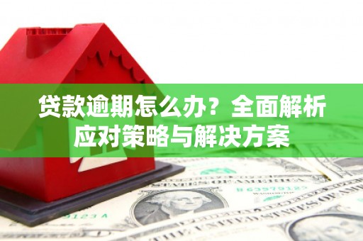 乌什贷款逾期怎么办？全面解析应对策略与解决方案
