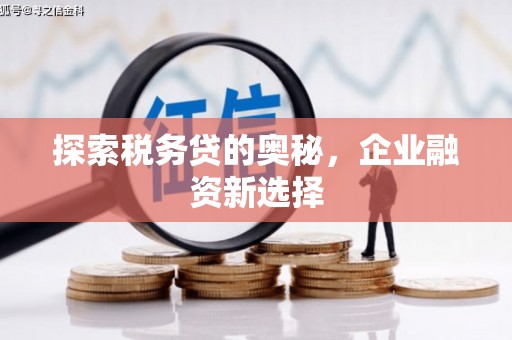乌什探索税务贷的奥秘，企业融资新选择