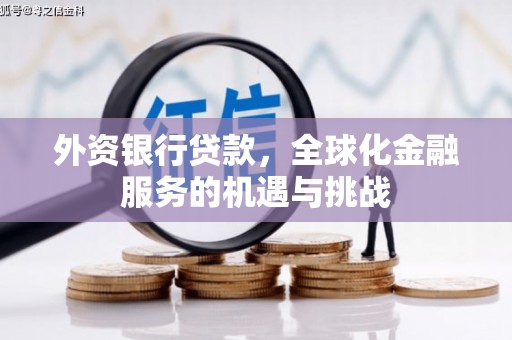 乌什外资银行贷款，全球化金融服务的机遇与挑战