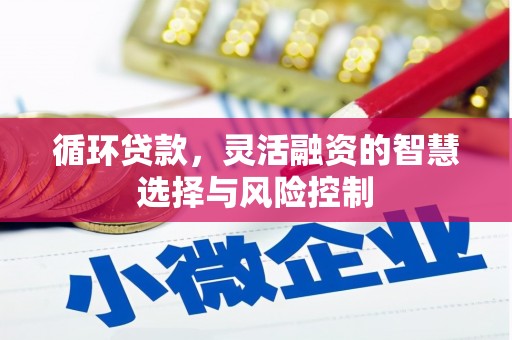 乌什循环贷款，灵活融资的智慧选择与风险控制