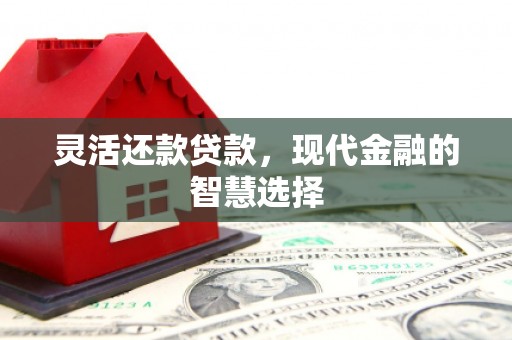 乌什灵活还款贷款，现代金融的智慧选择