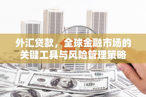 乌什外汇贷款，全球金融市场的关键工具与风险管理策略