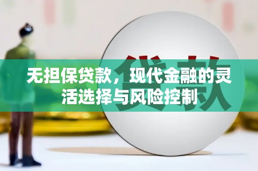 乌什无担保贷款，现代金融的灵活选择与风险控制