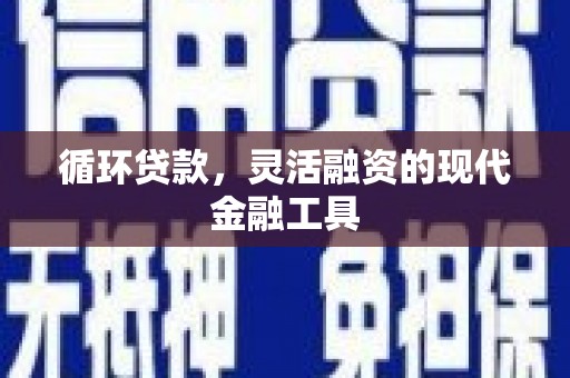 乌什循环贷款，灵活融资的现代金融工具
