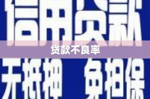 乌什贷款不良率