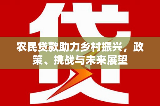 乌什农民贷款助力乡村振兴，政策、挑战与未来展望