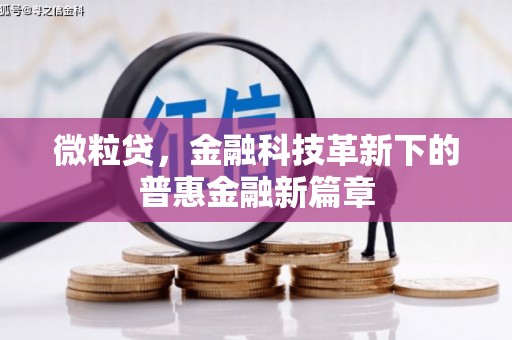乌什微粒贷，金融科技革新下的普惠金融新篇章