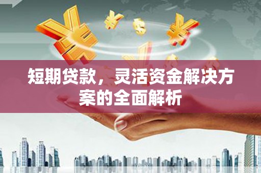 乌什短期贷款，灵活资金解决方案的全面解析