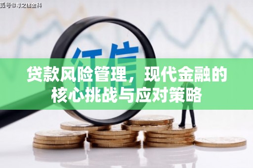 乌什贷款风险管理，现代金融的核心挑战与应对策略