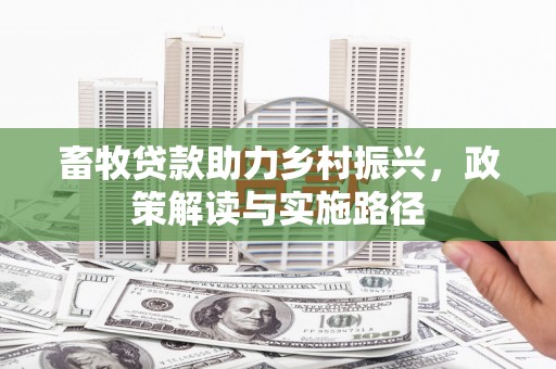 乌什畜牧贷款助力乡村振兴，政策解读与实施路径